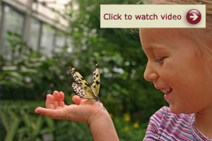 Click to play video