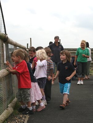Butterfly World, Swindon