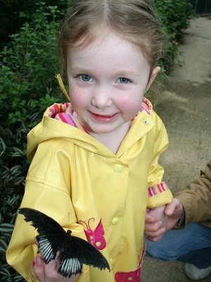 Butterfly World, Swindon